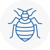 Bed Bug Extermination In Huyton